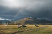 Taos Mountain Rainbow